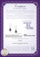 Produktcertifikat: FW-B-A-89-E-Teresa