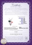 Produktcertifikat: FW-BPW-AAAA-67-P-Grape