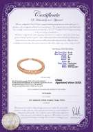Produktcertifikat: FW-P-A-67-N-DBL