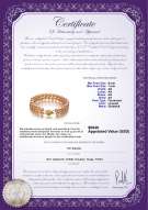 Produktcertifikat: FW-P-AA-67-B-DBL
