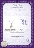Produktcertifikat: FW-P-AA-910-P-Nancy