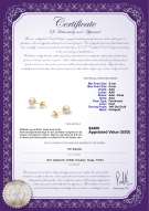 Produktcertifikat: FW-W-AAA-556-E