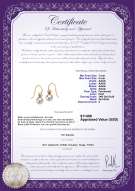 Produktcertifikat: FW-W-AAAA-78-E-Artsy