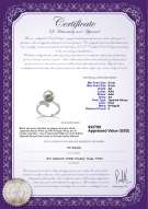 Produktcertifikat: JAK-W-AA-89-R-Grace
