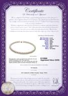 Produktcertifikat: JAK-W-AAA-885-N