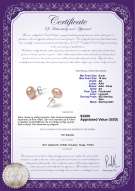 Produktcertifikat: P-AA-910-E-SS