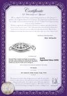 Produktcertifikat: SS-Fishhook-Clasp