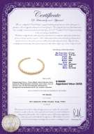 Produktcertifikat: SSEA-G-N-C309