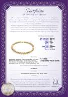 Produktcertifikat: SSEA-G-N-Q213