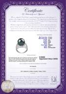 Produktcertifikat: TAH-B-AA-1213-R-Alva