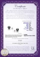 Produktcertifikat: TAH-B-AA-89-E