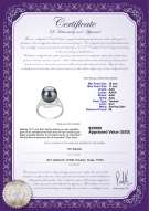 Produktcertifikat: TAH-B-AAA-1011-R-Maddie