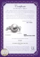 Produktcertifikat: W-14K-Ball-clasp