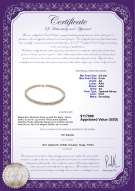 Produktcertifikat: W-AA-859-N-Akoy