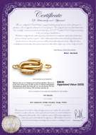 Produktcertifikat: Y-14k-Fishhook-clasp-WMinster