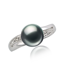 7-8mm japansk Akoya Ring in Bil Sort