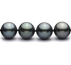 12-12.9mm Tahitisk Halskæde in Q118 Sort
